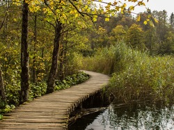 Pomost, Park Narodowy Jezior Plitwickich, Chorwacja, Szuwary, Drzewa, Jezioro